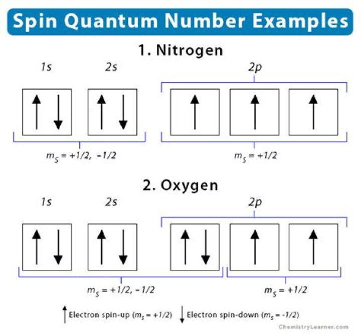 Why spin quantum number is introduced?