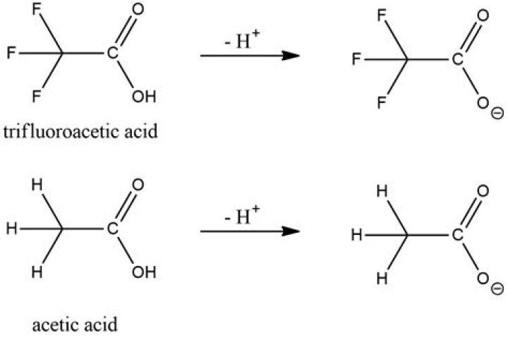 Why trifluoroacetic acid is a stronger acid than acetic acid?