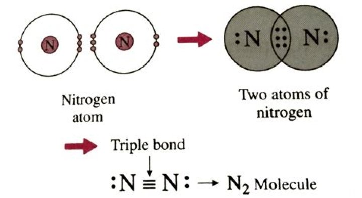 Why Trihalides of nitrogen are unstable?