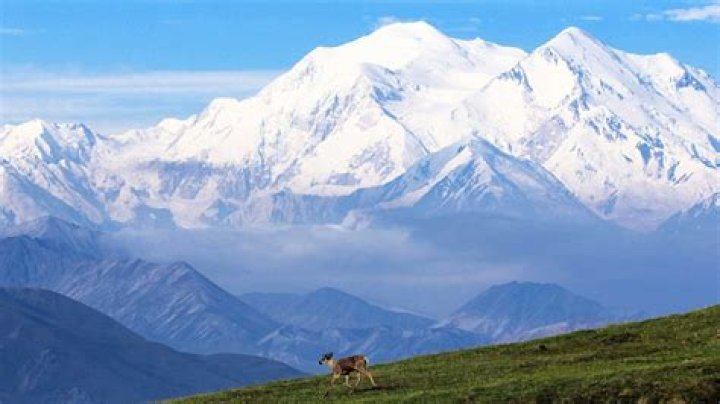 Why was Mt McKinley changed to Mt Denali?