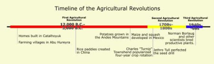 Why was the agricultural revolution significant in human history?
