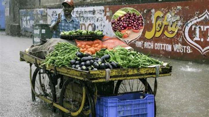 Why we should not eat brinjal?