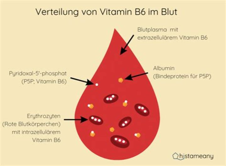 Wie macht sich Vitamin-B6-Mangel bemerkbar?