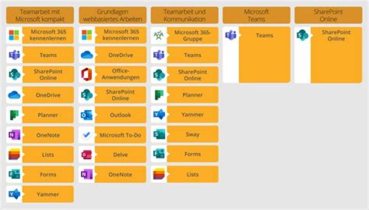Wie nutze ich Office 365 Online?