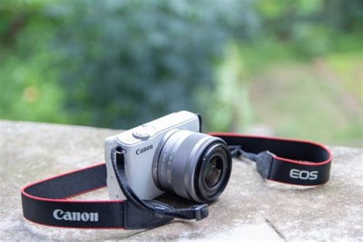 Wie viel kostet eine Canon Kamera?