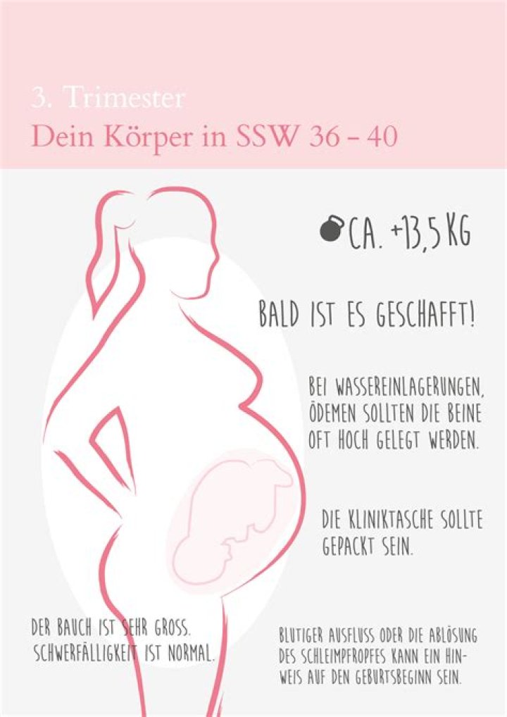 Wie viele kindsbewegungen 36 SSW?