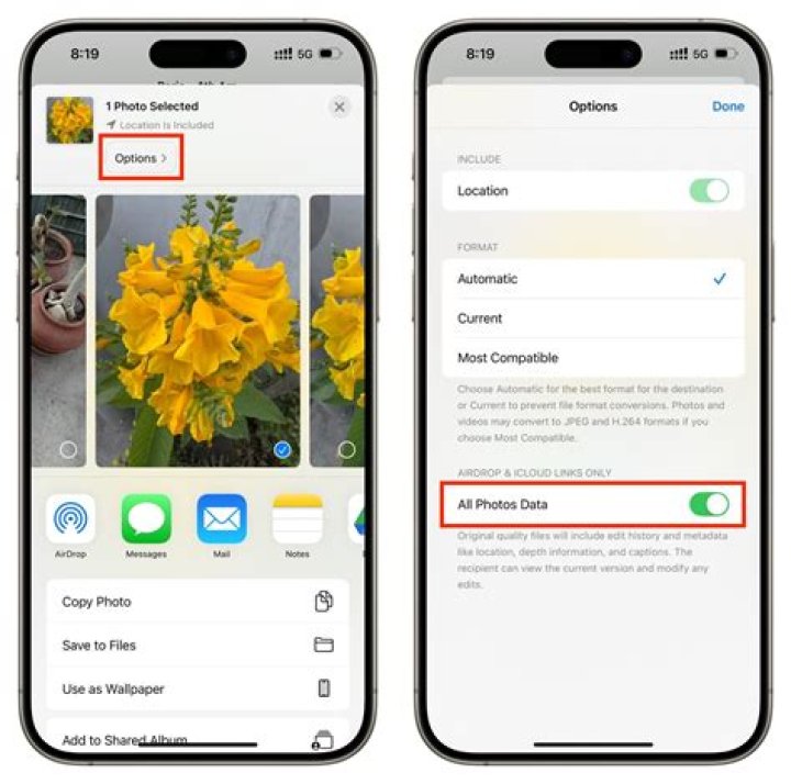 Will Apple Photos support RAW?