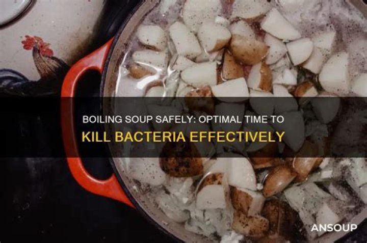 Will boiling soup kill bacteria?