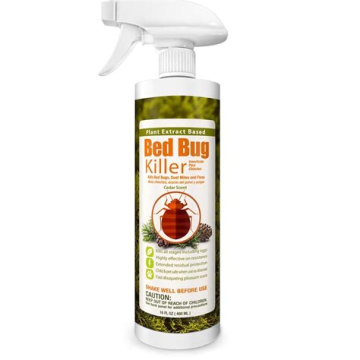 Will bug spray kill mites?
