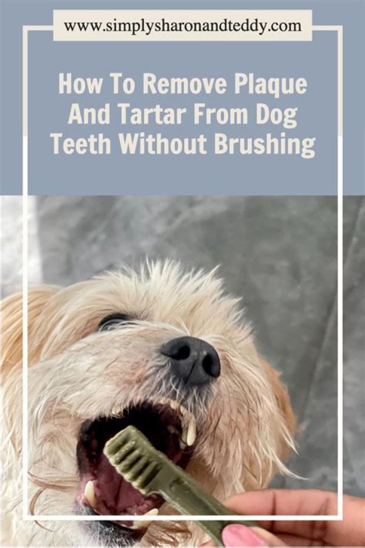 Will coconut oil remove tartar from dog's teeth?