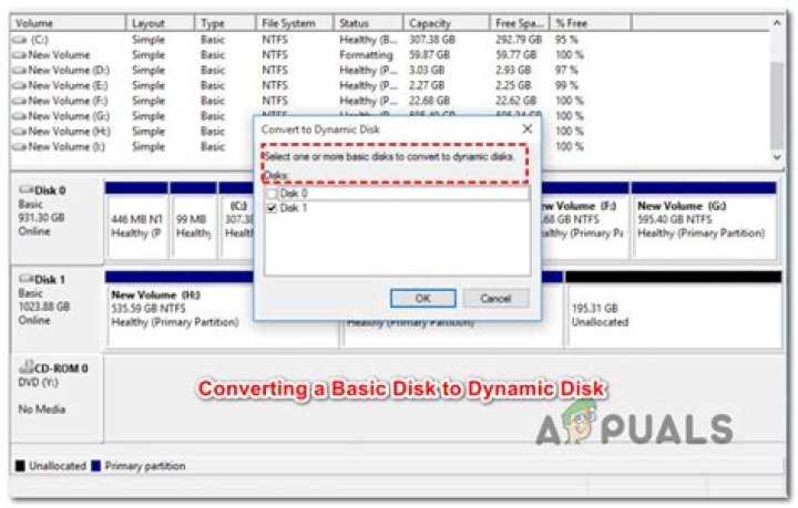 Will converting a basic disk to a dynamic disk erase data?