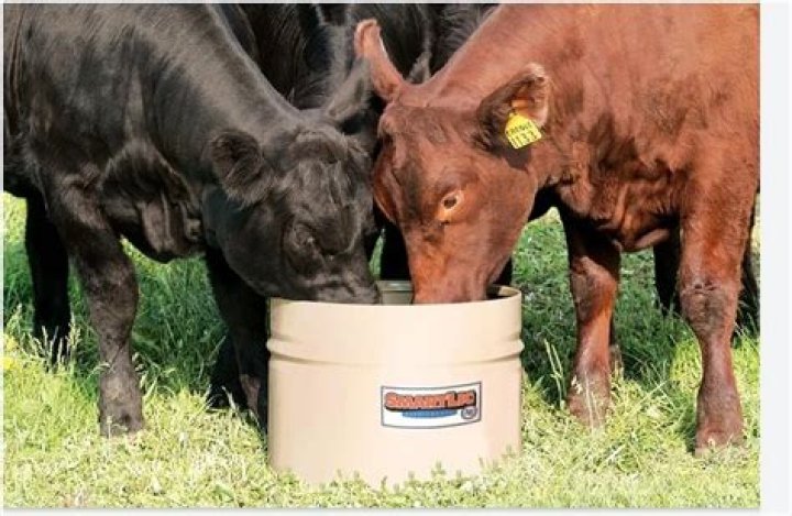Will deer use cattle protein tubs?