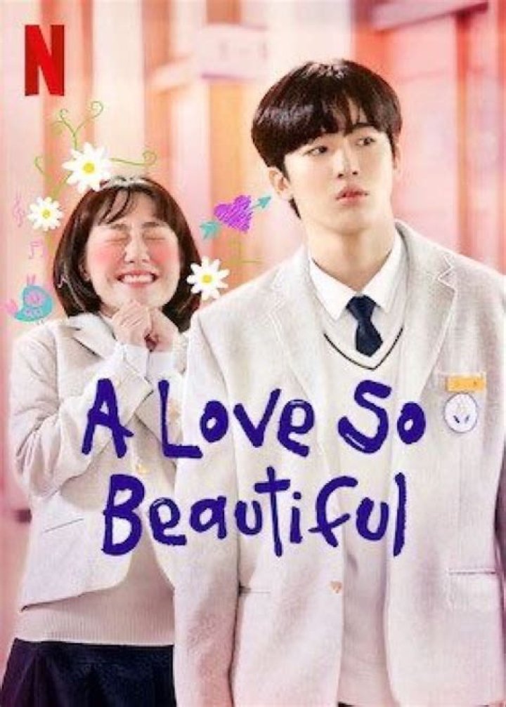 Will there be Season 2 of A Love So Beautiful?