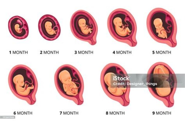 Wird das Baby kurz vor der Geburt aktiver?